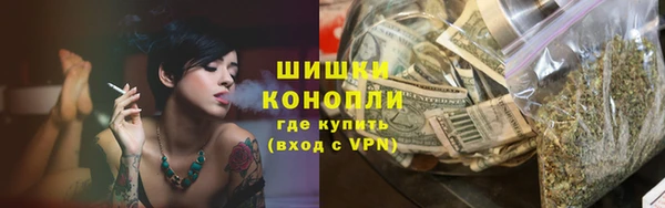 стаф Дмитровск