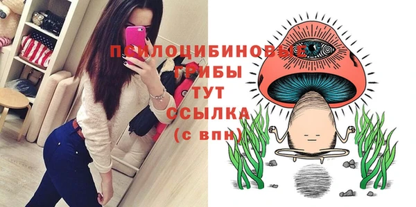 бутират Дмитров