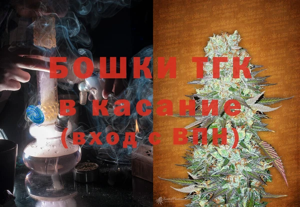стаф Дмитровск