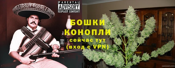 стаф Дмитровск
