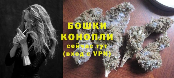 стаф Дмитровск