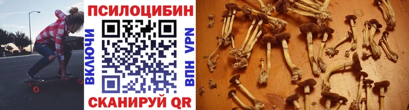 закладки  Шелехов  Псилоцибиновые грибы MAGIC MUSHROOMS 